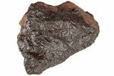 Chondrite Meteorite ( g) - Western Sahara Desert #222384-1